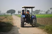 Punjab's Drug Crisis: The Dunki Route and the Search for Solutions