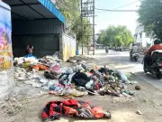 Rohtak Civic Body Awaits New Commissioner Ahead of Swachh Survekshan