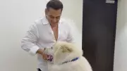 Salman Khan's Heartwarming Bond with Pet Dog My Sukh Captivates Fans