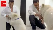 Salman Khan's Sleepless Night with Pooch My Sukh Before Action Film Shoot