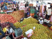 SBI Research Notes Modest CPI Inflation Rise Amid Volatility Concerns