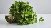 Simple Tricks to Keep Coriander Fresh for a Week or More