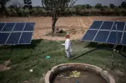 Solar Irrigation Cuts Subsidies, Boosts Farmer Income: New PM-KUSUM Report