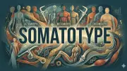 Somatotype Meaning and How It Affects Your Fitness Goals