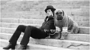 Sylvester Stallone's Heartbreaking $40 Dog Sale Before Rocky Fame