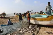 Tamil Nadu Fishing Community Seeks Infrastructure Over Aid in Election Battle