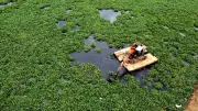 Tamil Nadu's Buckingham Canal Gets Rs 45 Crore Revamp with Green Spaces