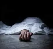 Teenager Dies After Cricket Game Argument Leads to Wooden Bat Attack in Mandi