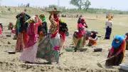 Telangana MGNREGA Employment Hits 5-Year Low: Report Flags Shrinking Workforce