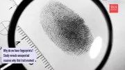 The Evolutionary Mystery of Fingerprints: From Tree Climbing to Biometric Security