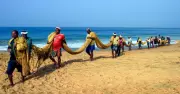 The Overlooked Perspective of the Fisherman in Policy Decisions