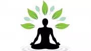 The Power of Stillness: How Embracing Quiet Can Transform Your Life