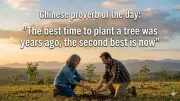 The Timeless Wisdom of a Chinese Proverb: Why 'Now' is the Second-Best Time to Start