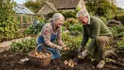 The Ultimate Guide to Growing Potatoes in Britain's Temperate Climate
