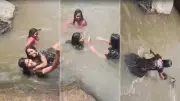 Three Girls Drown While Taking Selfie at Andhra Pradesh Waterfall, Video Emerges