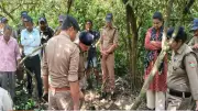 Tiger Attack in Uttarakhand's Surai Range Claims Woman's Life, Highlights Human-Wildlife Conflict