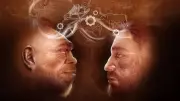 Tinshemet Cave Research Reveals Complex Neanderthal-Homo Sapiens Interactions
