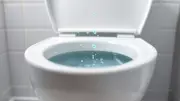 Toilet Seat Up or Down? Science Reveals the Real Hygiene Battle in Your Bathroom