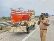 Truck Crash on Samruddhi Expressway Kills 7 Workers, Injures 6 in Jalna