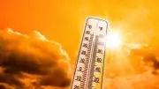 Two Teachers on Census Duty Die of Suspected Sunstroke in Odisha