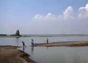 Ujani Dam Water Release Halted to Preserve Supply Until August End