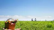 UK May 2026 Bank Holidays: Dates, Tips, and Ideas to Maximise Your Breaks