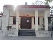 University of Rajasthan Students Protest Canteen Closure, Set Up Makeshift Tea Stall