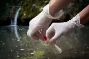 Urban India's Wastewater Reveals Alarming Surge in Antimicrobial Resistance