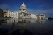US Lawmaker Urges Pakistan to Crack Down on Terror Groups Lashkar-e-Taiba and Jaish-e-Mohammed