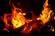 Vacant Land Fire in Delhi Sparks Concerns Over Garbage Management