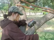 Vet Varsity Global Study: Carcass Disposal Sites Key in Rabies Spread