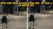 Viral Video Shows Humanoid Robot Chasing Wild Boars in Poland
