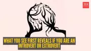 Visual Personality Test: Are You an Introvert, Extrovert, or Ambivert?