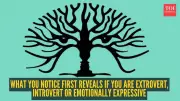 What Your First Glance at an Optical Illusion Reveals About Your Personality