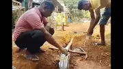 White Worms Found in Tap Water in Goa's Valpoi, Residents Panic