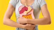 Why a Healthy Diet Fails: The Hidden Role of Digestive Efficiency Explained