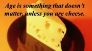 Why Age Only Matters for Cheese: A Humorous Take on Aging