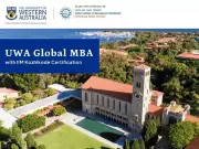 Why Experienced Professionals Are Choosing Global MBA Programs