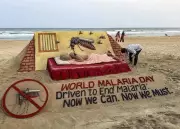 Why India Still Struggles to Eliminate Malaria Despite Decades of Efforts