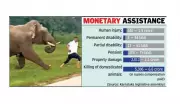 Wildlife Attacks in Karnataka: 53 Killed, 350+ Injured in 11 Months