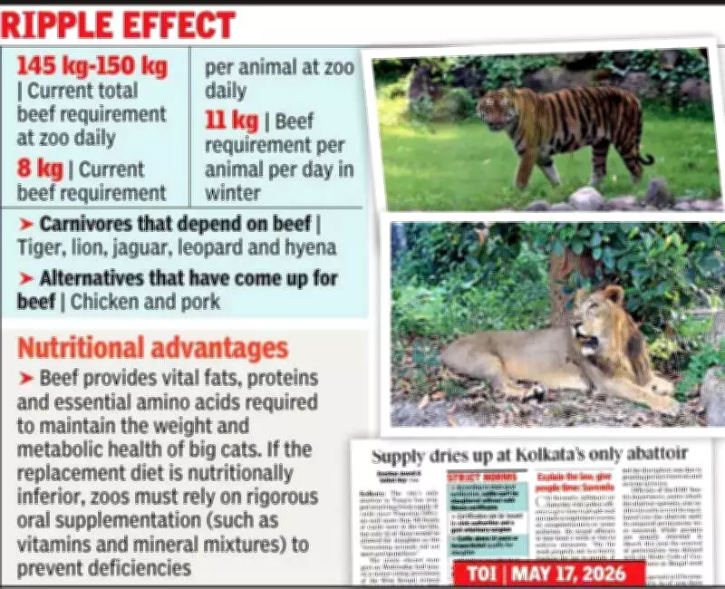 Kolkata Zoo Faces Beef Shortage, Turns to Chicken and Pork for Carnivores