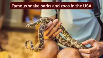 10 Famous Snake Parks and Zoos in the USA Every Wildlife Traveller Must Visit