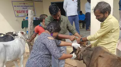 10L Animals Treated via Mobile Vet Services in Bengaluru Since 2023