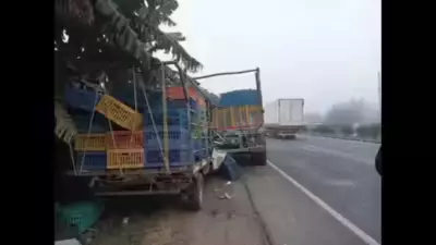 13 Killed, 16 Injured in Wrong-Side Pickup Truck Crash on Mumbai-Ahmedabad Highway