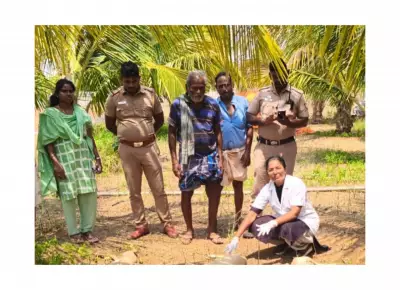 14 Goats Killed in Stray Dog Attacks in Tirupur, Farmers Protest