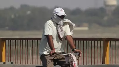 16 Die Due to Heatwave in Telangana; Govt Announces Rs 4 Lakh Ex Gratia
