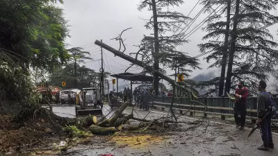 2025 Shimla Landslide: NHAI Tells NGT It's an Act of God, Rejects Compensation for Agricultural Land Damage