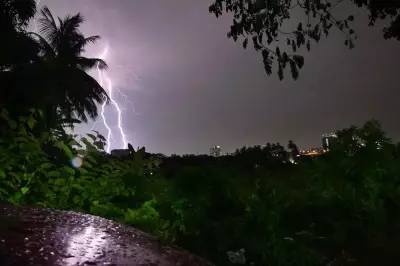 30 Sheep Killed in Lightning Strike in Nagarkurnool, Shepherd Escapes