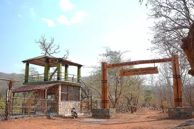 34km Jungle Safari Launched in Chhattisgarh's Bhoramdeo Sanctuary for Eco-Tourism