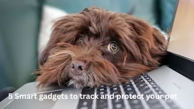 5 Smart Gadgets to Track and Protect Your Pets in 2026